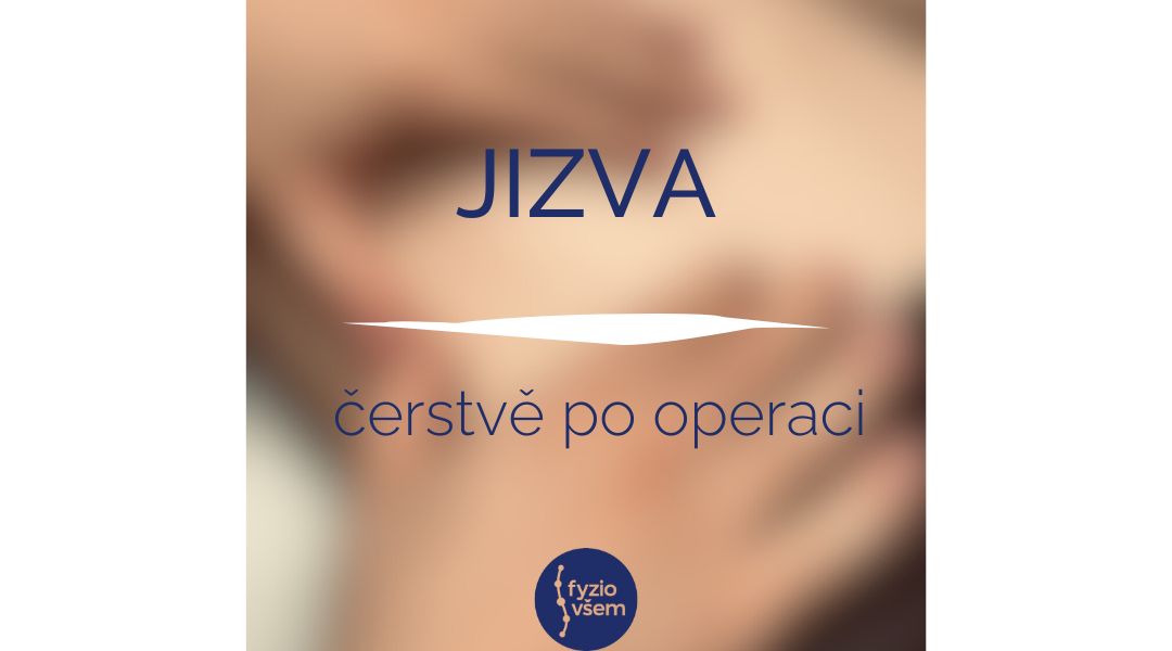 Přečtete si více ze článku Jizva – 1. část (čerstvě po operaci)